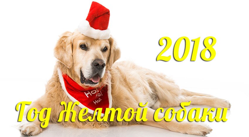 Гороскоп на 2018-й год Собаки
